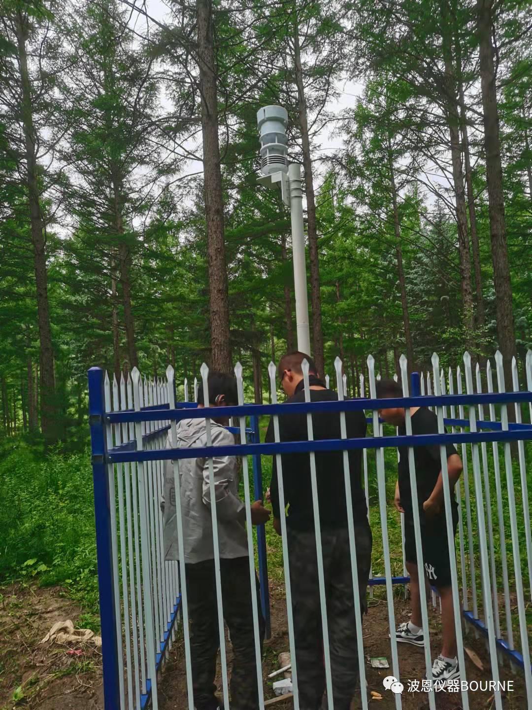 1703909428316445.jpg 2345_image_file_copy_124.jpg