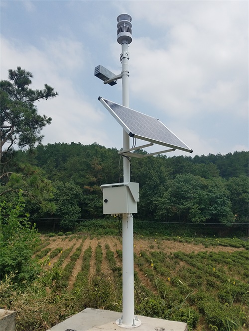 1704855265812603.jpg 氣象站 (17).jpg