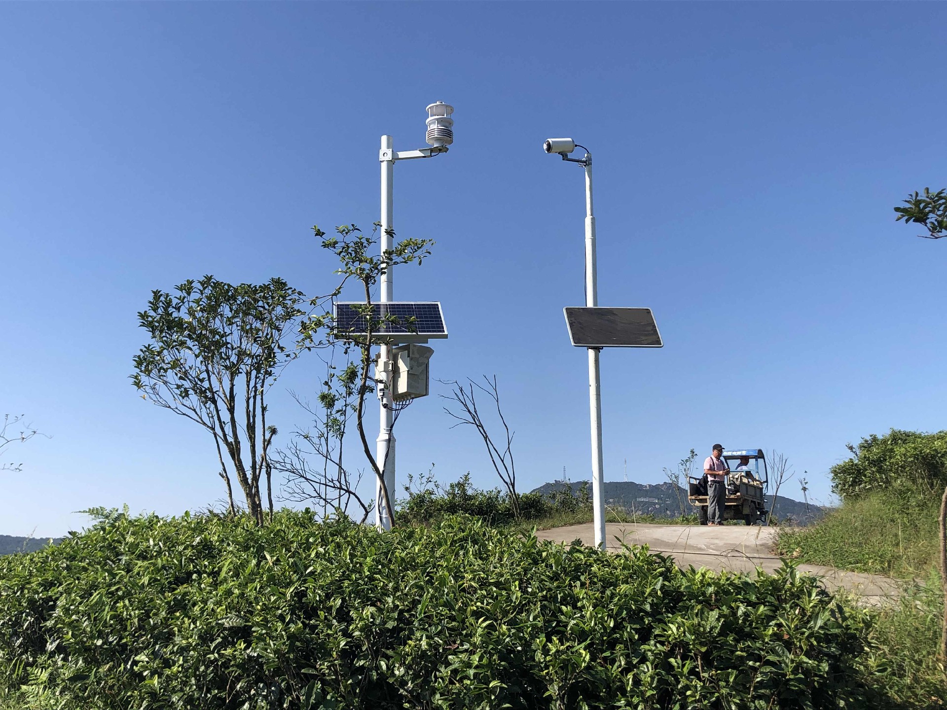 1719280272111314.jpg 2345_image_file_copy_4.jpg