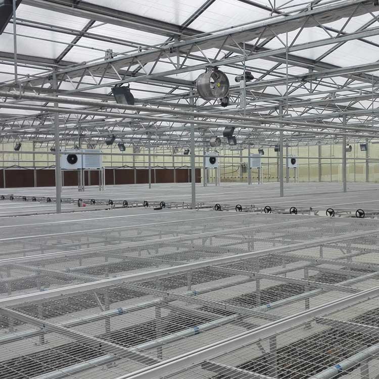 1719794466176242.jpg 2345_image_file_copy_43.jpg